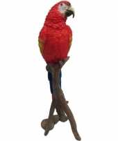 Dierenbeeld rode papegaai op stam 30 cm trend