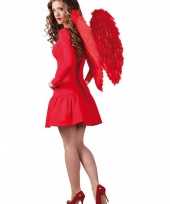 Feestartikelen rode engelen vleugels 65x65 cm trend