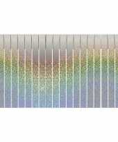 Franjeslinger holografische feest slinger 6 meter trend