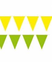 Gele en groene feest vlaggenlijnen trend
