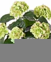 Groen rozee hortensia kunstplant 36 cm trend
