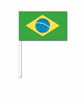 Handvlag brazilie12 x 24 cm trend