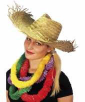 Hawaii stro hoed trend