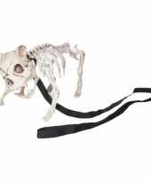 Honden skelet 42 x 20 x h19 cm trend