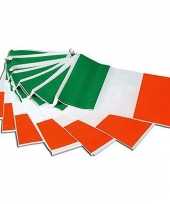 Ierse slinger vlaggenlijn 7 meter trend