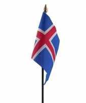 Ijsland vlaggetje met stokje trend