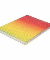 Kaftpapier regenboog kleuren 200 x 70 cm trend