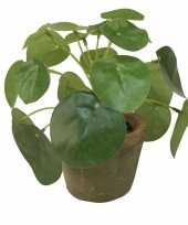 Kantoor kunstplant pilea groen in pot 13 cm trend