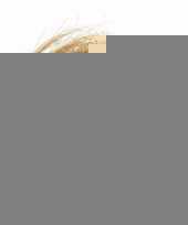 Kerst goud engelenhaar elegant christmas 20 gram trend