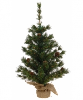 Kerstboom knoppine 60 cm trend