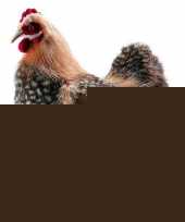Kippen knuffels beige 35 cm trend