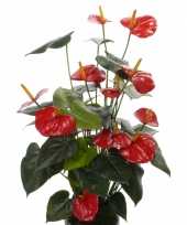 Kunst anthurium plant rood 80 cm trend