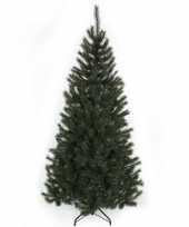 Kunst kerstboom black box kingston 345 tips 155 cm trend
