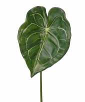 Kunstbloemen anthurium groen 67 cm trend
