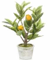 Kunstplant groene citroenboom 45 cm in betonlook pot trend