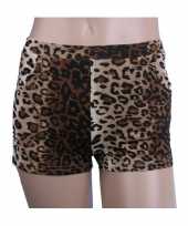 Luipaard print hotpants voor dames trend