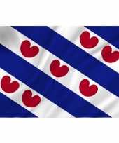 Luxe vlag friesland fryslan 100 x 150 cm trend