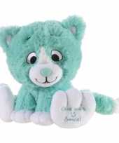 Mintgroene knuffel kat poes give me a smile 14 cm trend