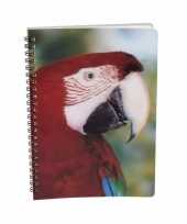 Papegaaien notitieboek 3d 21cm trend