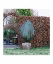 Plantenhoes groen 1 5 m x 100 cm anti vorst bescherming trend