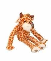 Pluche knuffel giraffe van 55 cm trend