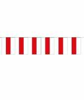 Polen versiering vlaggenlijn trend