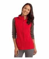 Polyester micro fleece bodywarmer trend