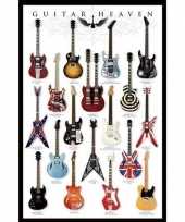 Poster gitaren muziek thema 61 x 91 cm wanddecoratie trend
