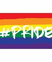Regenboog lgbt vlag 90 x 150 cm hashtag pride trend
