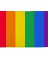 Regenboog lgbt vlag 90 x 150 cm verticale strepen trend