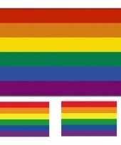 Regenboog vlag 90 x 150 cm met twee gratis regenboog stickers trend