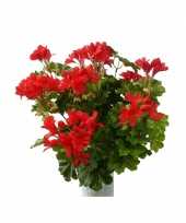 Rode geranium kunstplant 40 cm trend