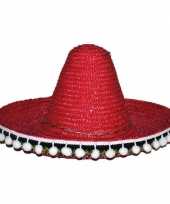 Rode sombrero 25 cm voor kinderen trend