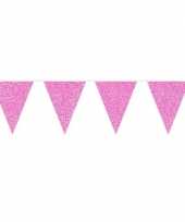Roze glitter vlaggenlijn 10 meter trend