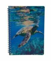 Schildpadden notitieboek 3d 21cm trend