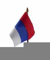 Servie vlaggetje met stokje trend