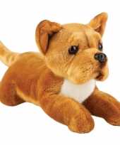 Staffordshire bull terrier speelgoed artikelen knuffelbeest bruin 30 cm trend
