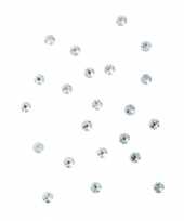 Swarovski steentjes crystal zilver 24 stuks trend
