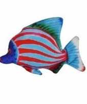 Tropische pluche knuffel vis blauw en rood gestreept 25 cm trend
