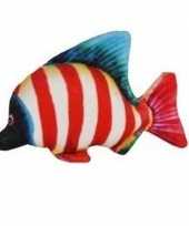 Tropische pluche knuffel vis wit en rood gestreept 25 cm trend