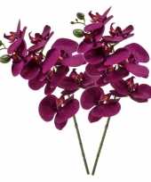 Violet paarse phaleanopsis vlinderorchidee kunstbloem 70 cm trend