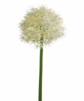 Witte allium sierui kunstbloem 65 cm trend