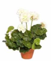 Witte geranium kunstplant 30 cm trend