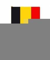 Zwaaivlaggetjes belgie trend